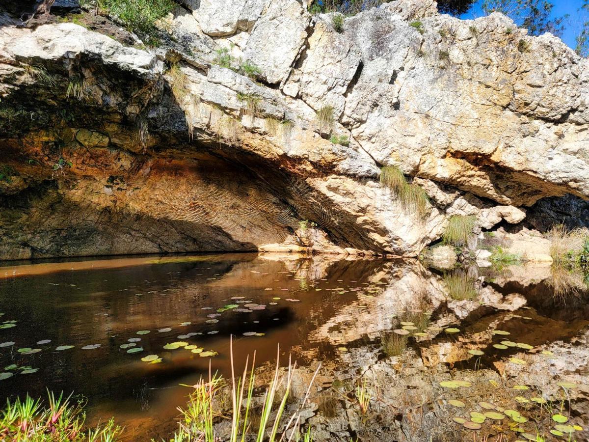 The Volmoed Trust Βίλα Hermanus Εξωτερικό φωτογραφία