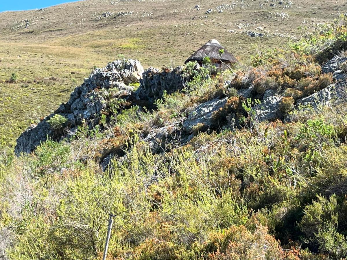 The Volmoed Trust Βίλα Hermanus Εξωτερικό φωτογραφία