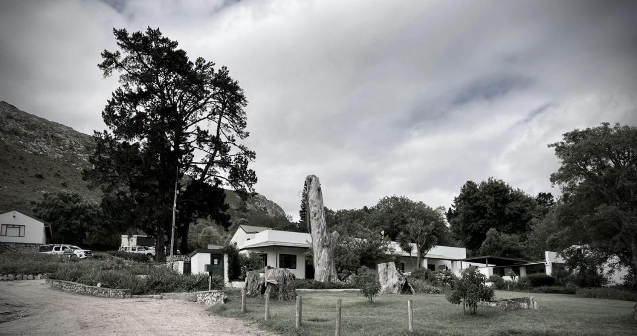 The Volmoed Trust Βίλα Hermanus Εξωτερικό φωτογραφία