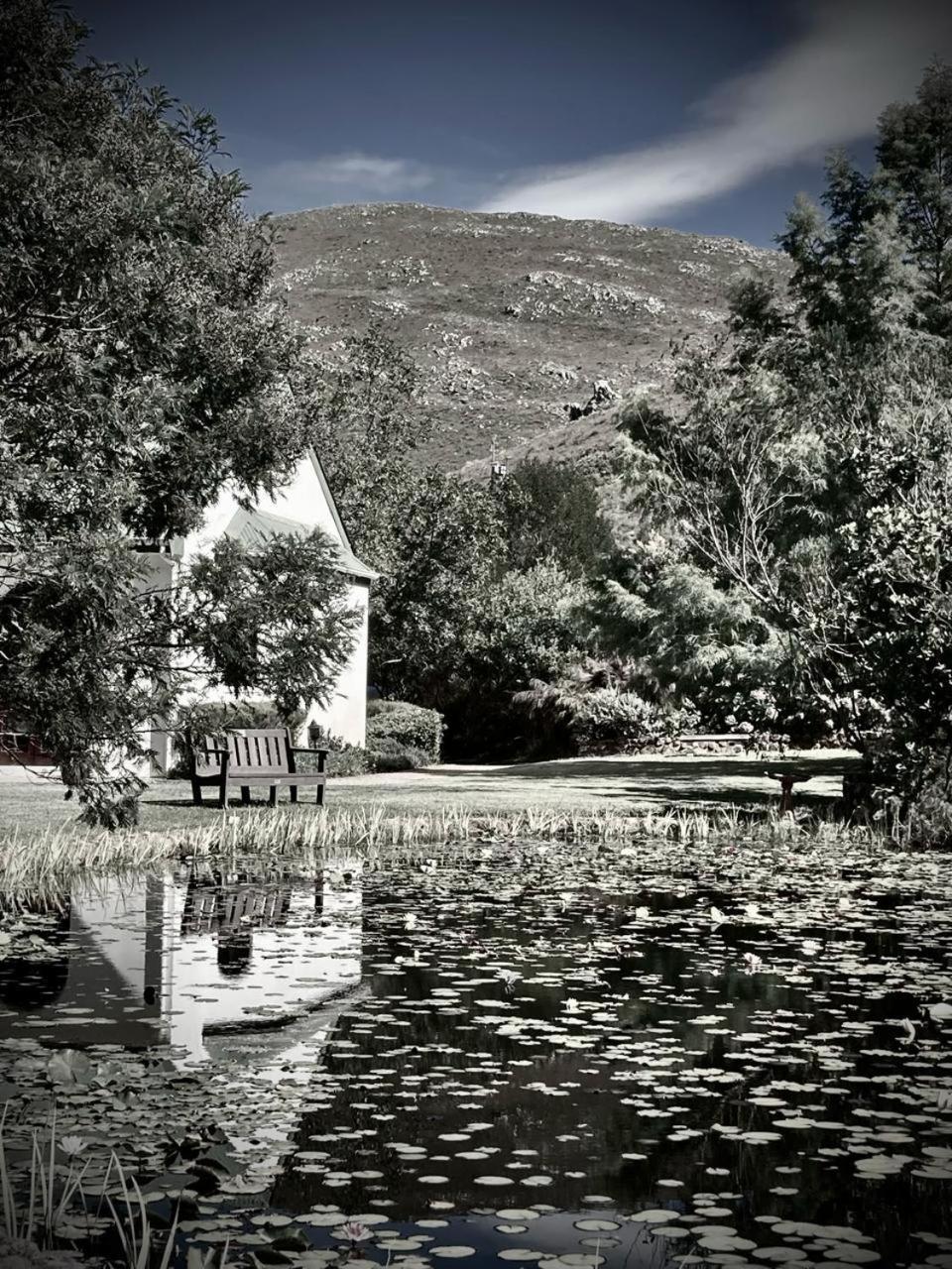 The Volmoed Trust Βίλα Hermanus Εξωτερικό φωτογραφία
