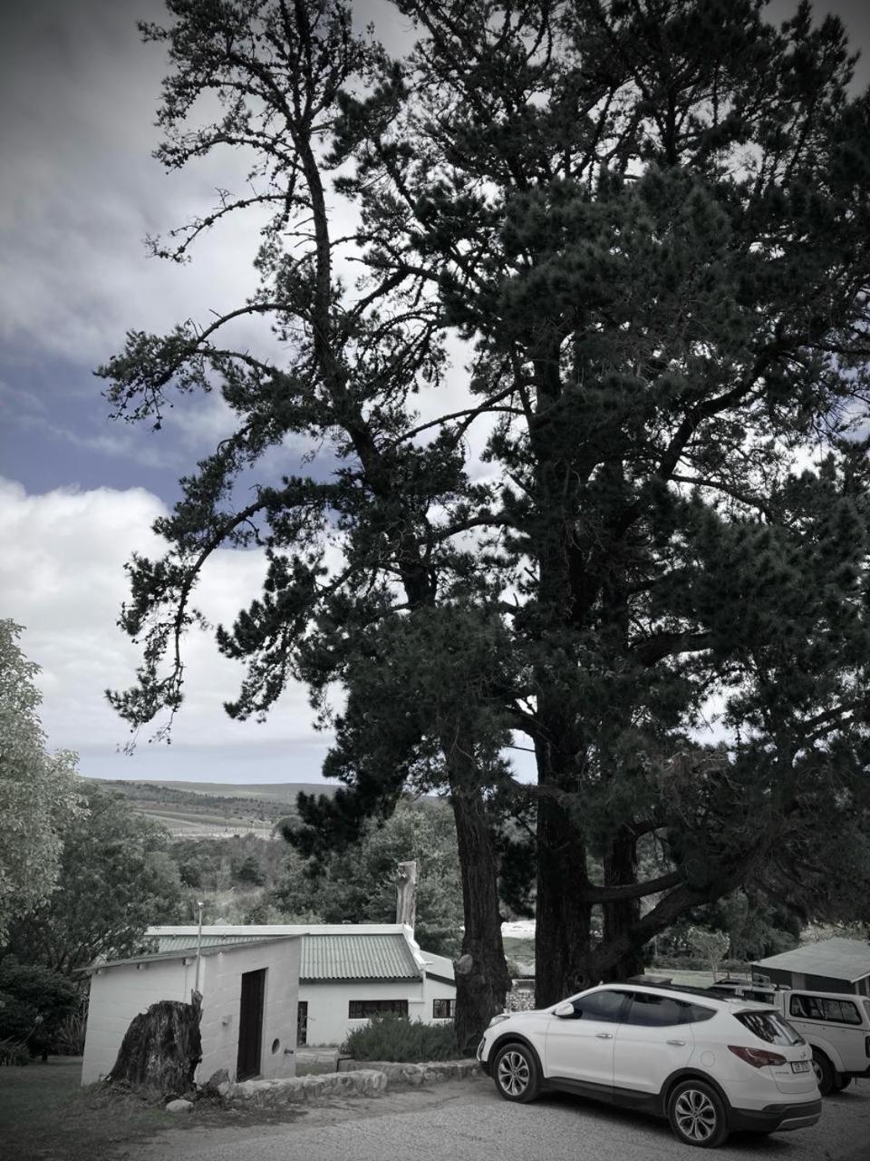 The Volmoed Trust Βίλα Hermanus Εξωτερικό φωτογραφία