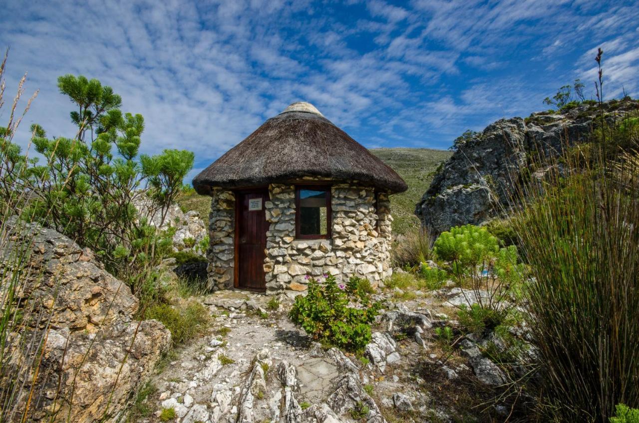 The Volmoed Trust Βίλα Hermanus Εξωτερικό φωτογραφία